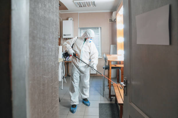 Why You Should Choose Our Mold Remediation Services in Dothan, AL